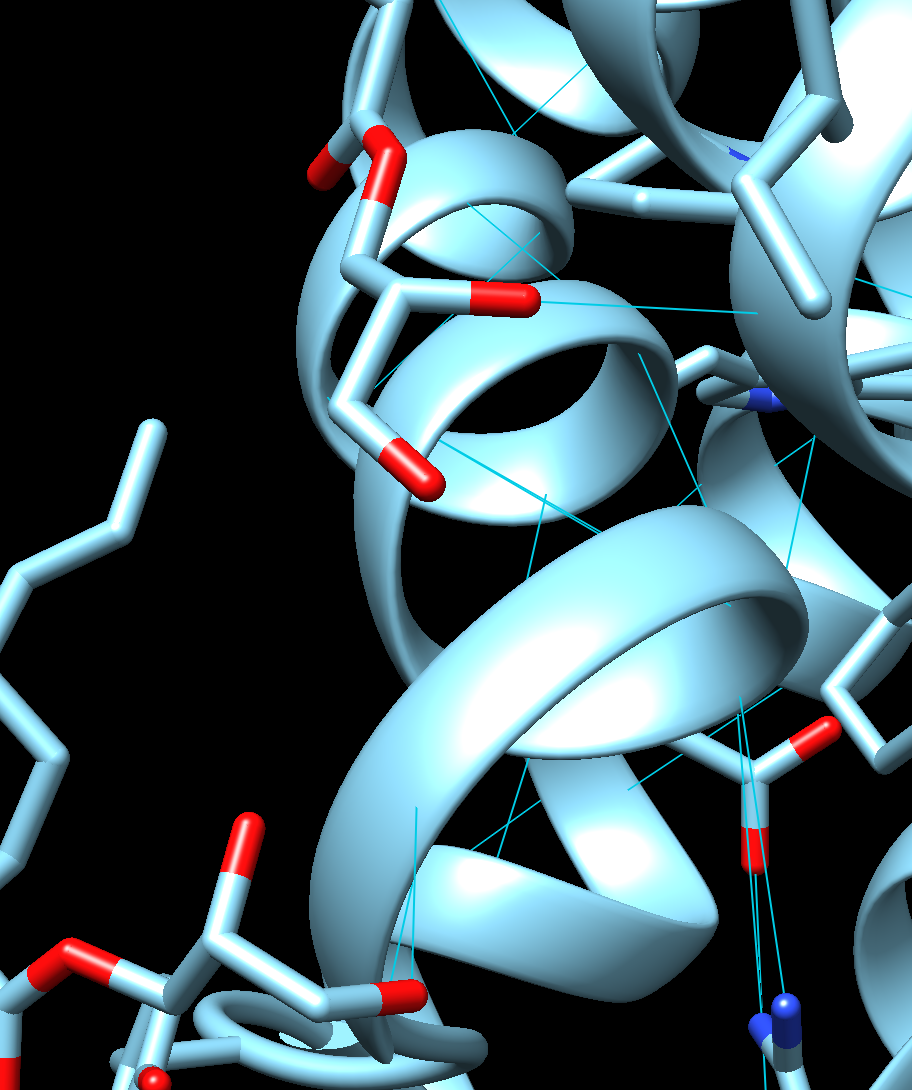 Visualization of Cluster 6 in CXCR4 and CXCL12 hydrogen bonding interaction in Chimera.